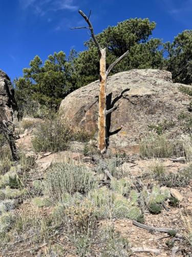 Big Sky Loop Trail