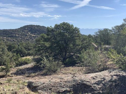 Big Sky Loop Trail