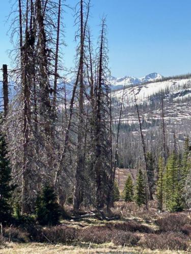 Hunter Lake Trail