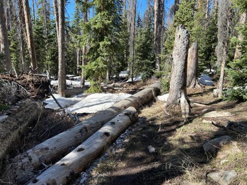 Hunter Lake Trail