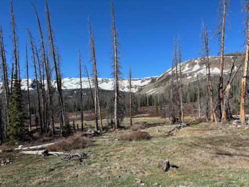 Hunter Lake Trail